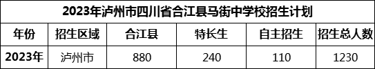 2024年瀘州市四川省合江縣馬街中學(xué)校招生計劃是多少？