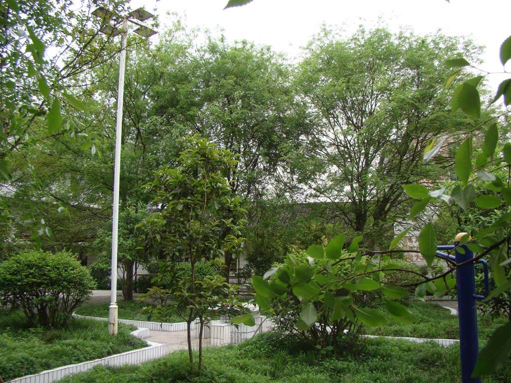營(yíng)山小橋中學(xué)校園風(fēng)采