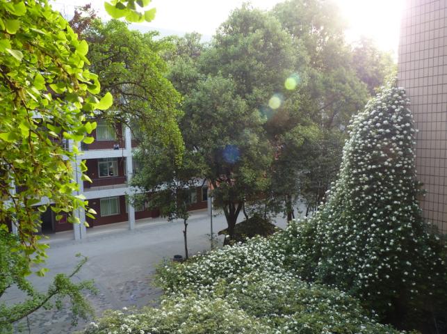 石室聯(lián)合中學(xué)蜀華分校怎么樣？