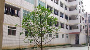 威遠(yuǎn)自強(qiáng)中學(xué)是民辦還是公辦學(xué)校？