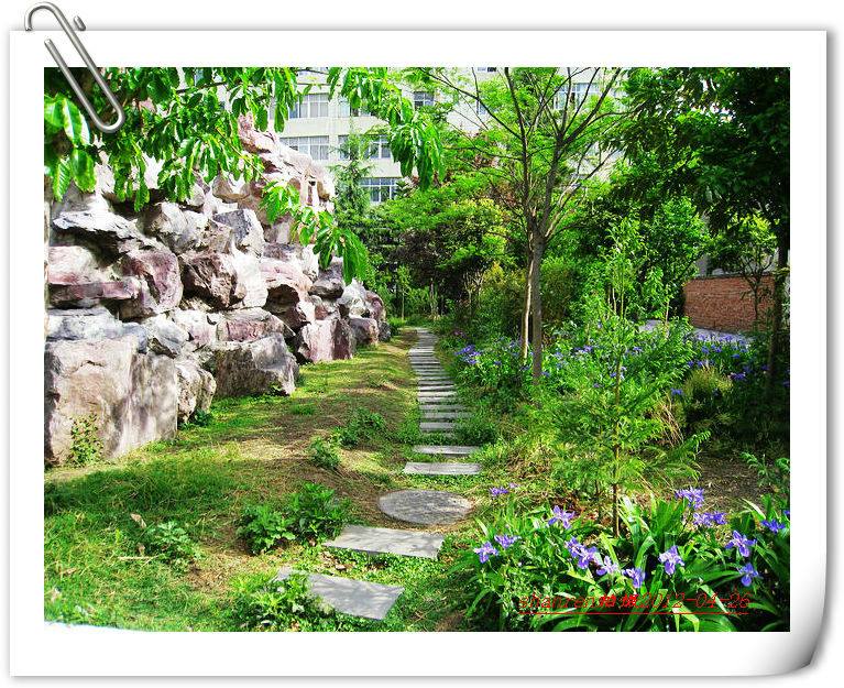 甘洛中學(xué)地址在哪里？