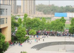 南溪區(qū)第一中學(xué)地理位置在哪？