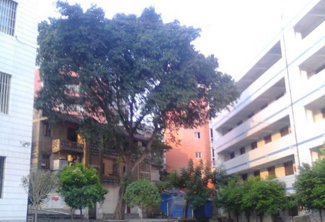 資中縣太平中學地理位置在哪里？