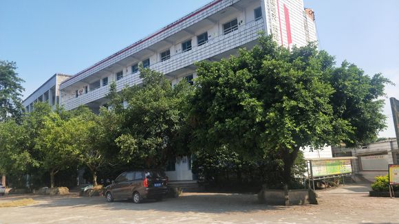 隆昌八中在哪里？