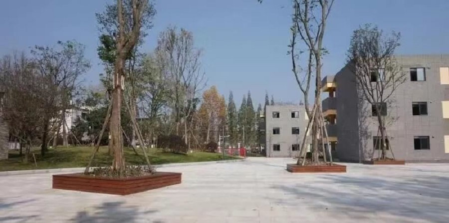成都綿實外國語學(xué)校2019年招生公告公布了嗎？