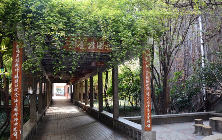 成都玉林中學校園環(huán)境好不好？