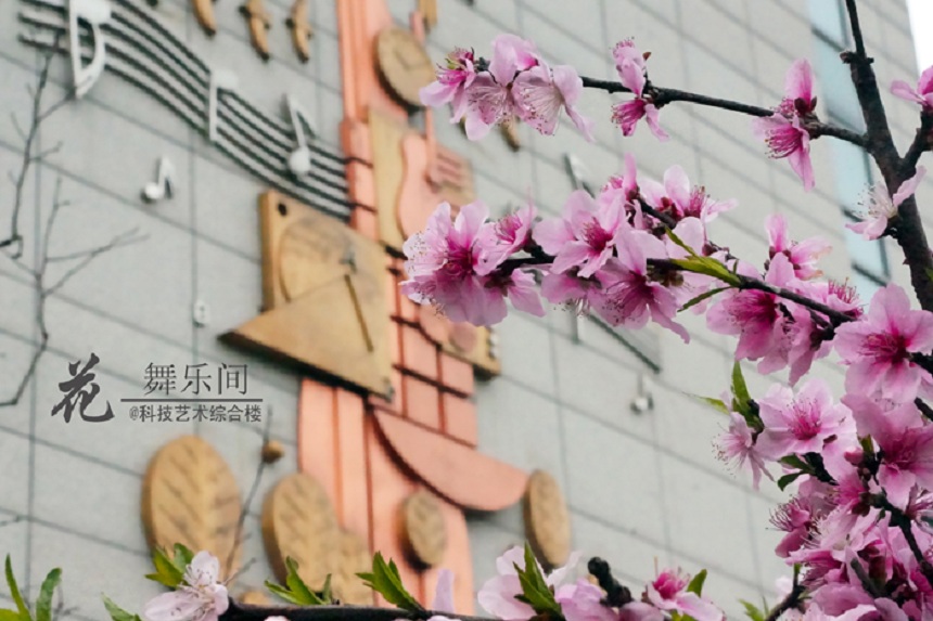 石室天府中學(xué)環(huán)境好不好、怎么樣？