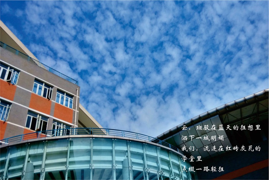 成都七中高新校區(qū)教學(xué)質(zhì)量好不好？