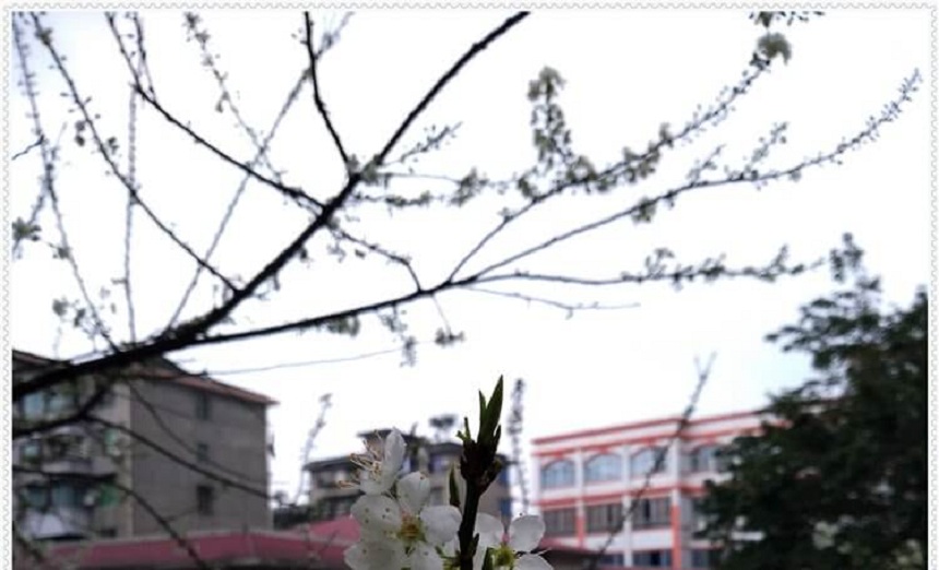 洪雅中學(xué)2018年招生分?jǐn)?shù)是多少？