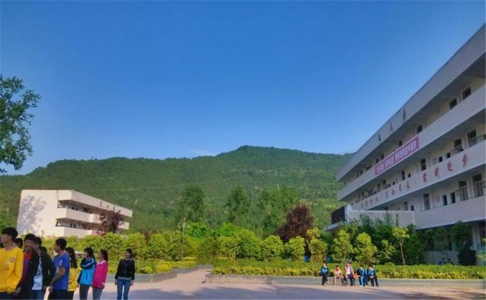 金山中學2020年學校招生計劃在哪兒看？