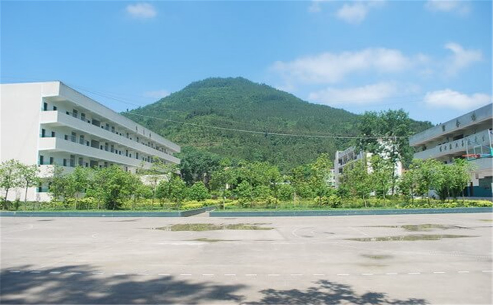 金山中學(xué)學(xué)校環(huán)境如何？