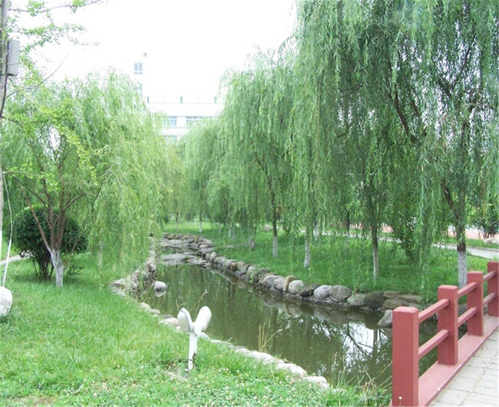 廣元外國語2020年學(xué)校招生分?jǐn)?shù)公布了嗎？