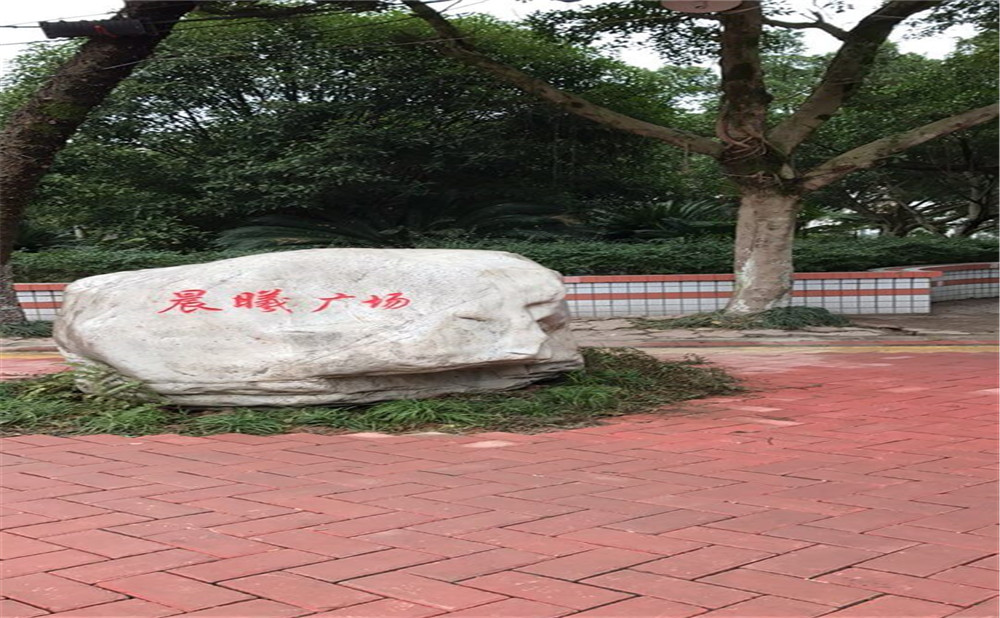 內(nèi)江十二中2020年升學(xué)率怎么樣？