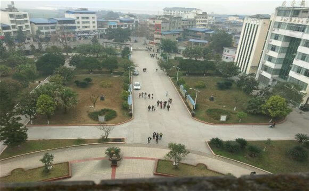 柳樹中學(xué)的環(huán)境怎么樣？
