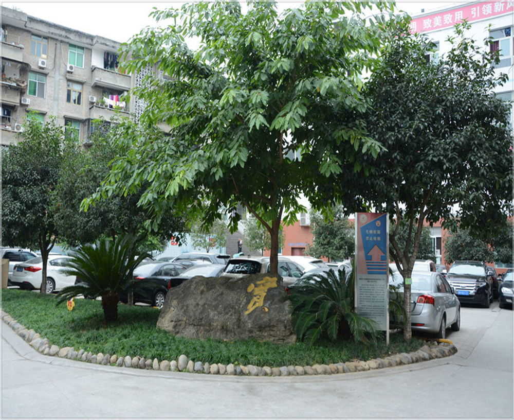 蒼溪實(shí)驗(yàn)中學(xué)的環(huán)境怎么樣？