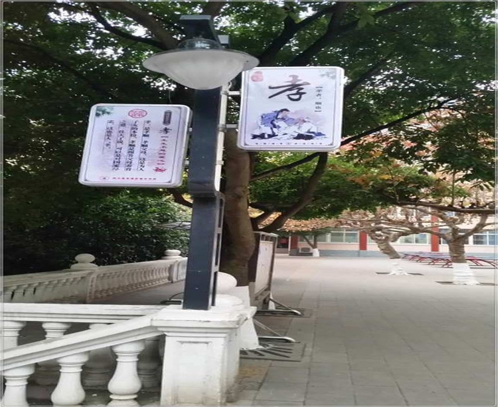 蒼溪實驗中學2020年的招生簡章發(fā)布了嗎？