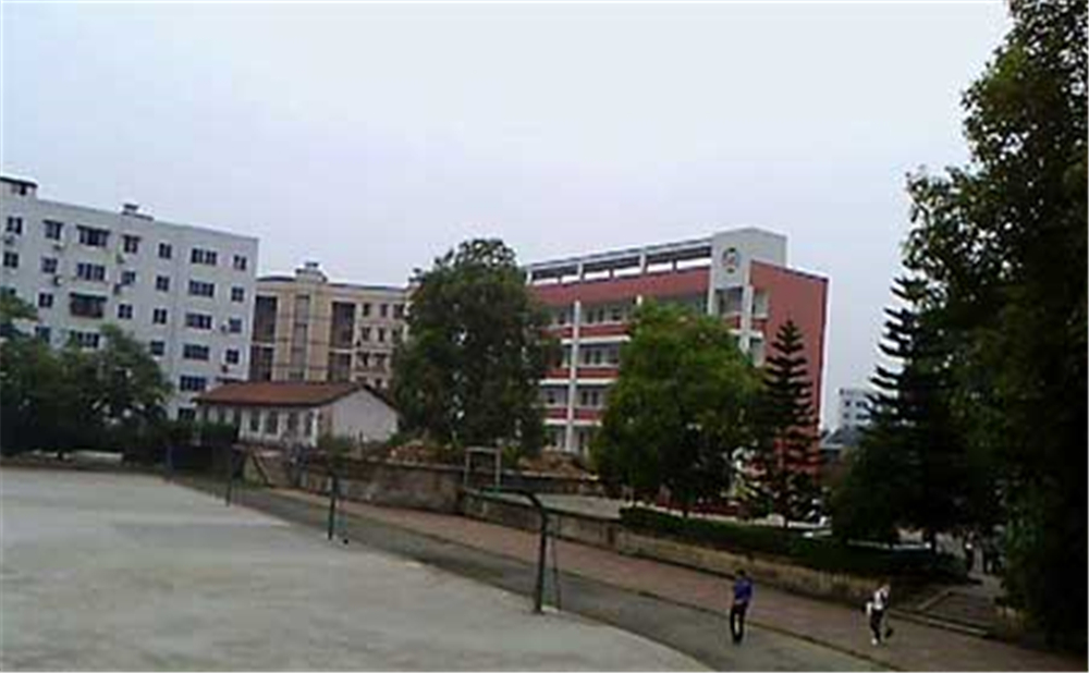 內(nèi)江十中2020年學(xué)校學(xué)費(fèi)多少錢一年？