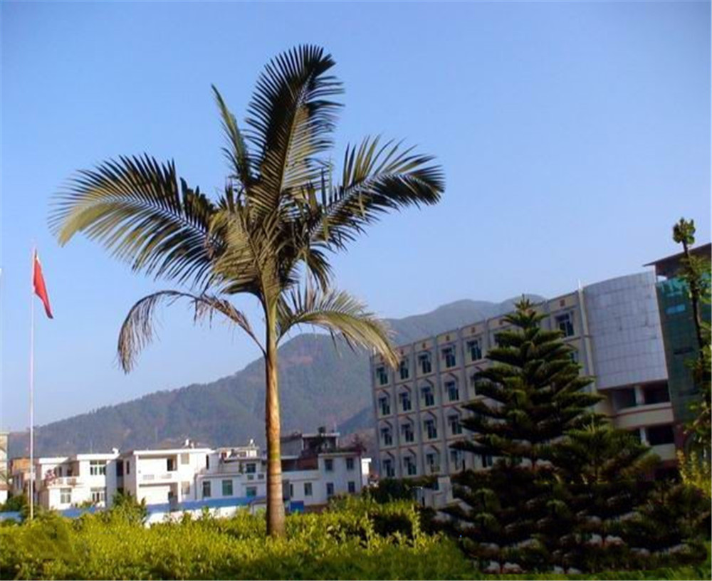 四川省鹽邊縣漁門中學(xué)2020年學(xué)校學(xué)費多少錢一年？