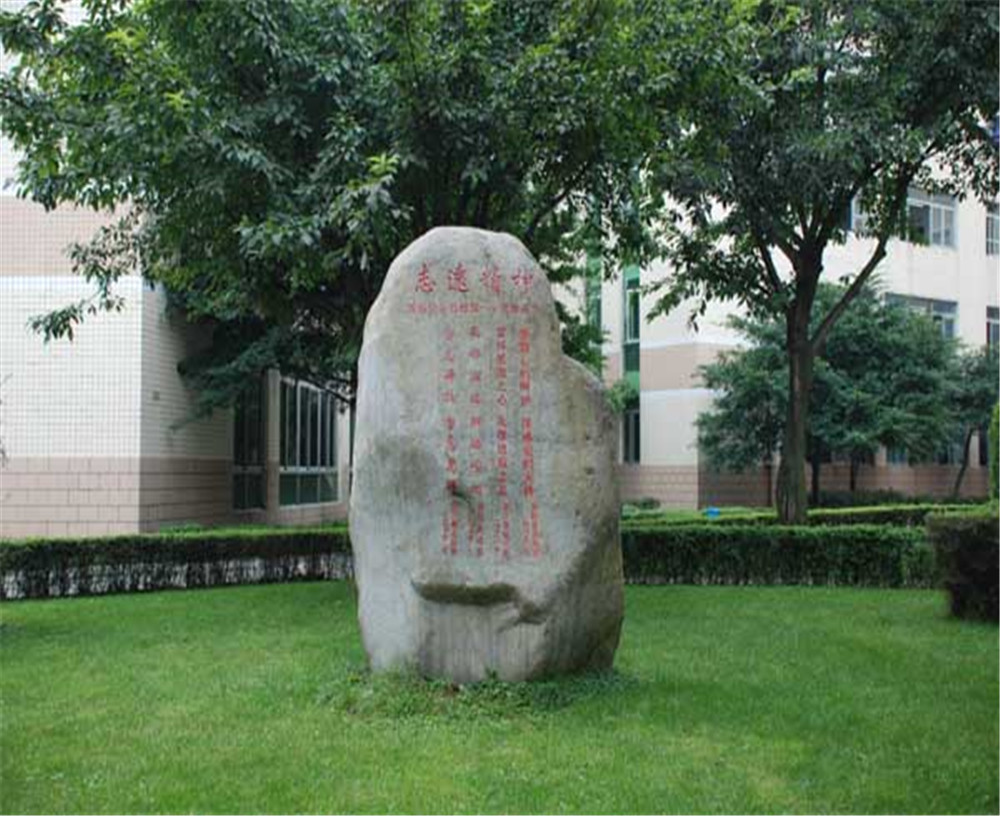 武侯高級中學2020年的錄取分數線是多少？