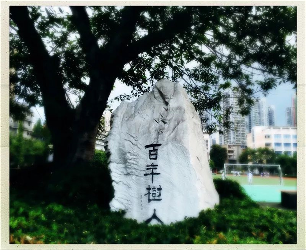 四川大學(xué)附屬中學(xué)2020年的錄取分?jǐn)?shù)線是多少？