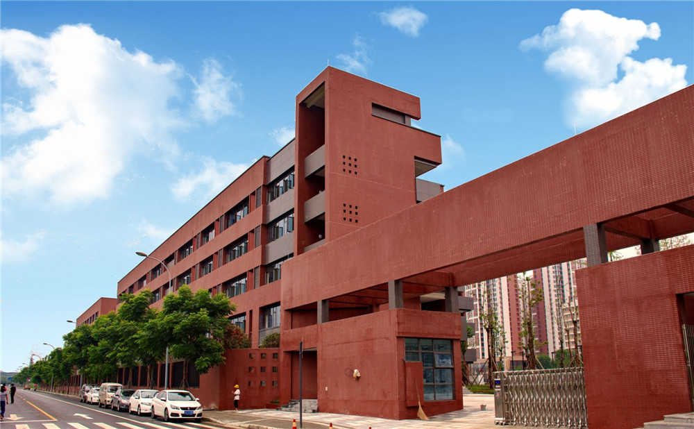 電子科技大學實驗中學2020年的錄取分數是多少？