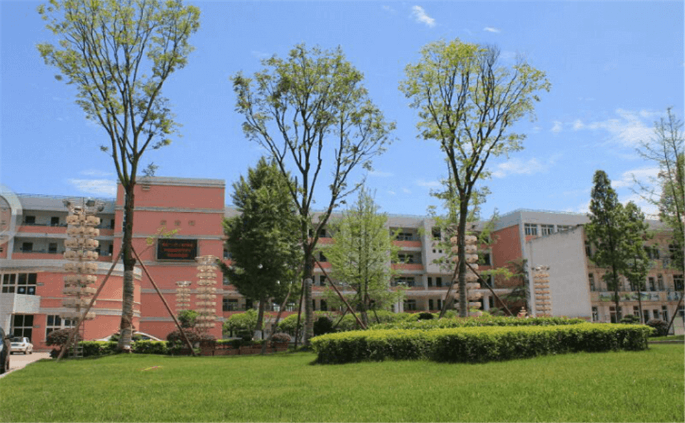 成都市籍田中學(xué)的老師怎么樣？