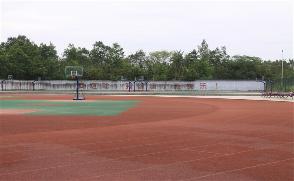 樹德懷遠(yuǎn)中學(xué)2020年招生計(jì)劃在哪兒看？