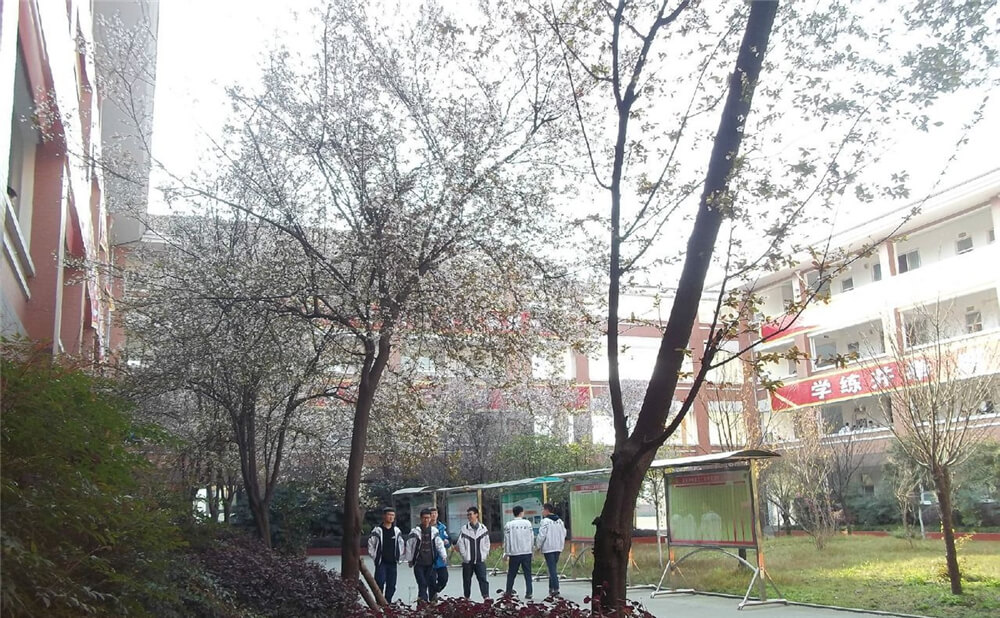 崇慶中學(xué)的去年錄取分?jǐn)?shù)線是多少分？