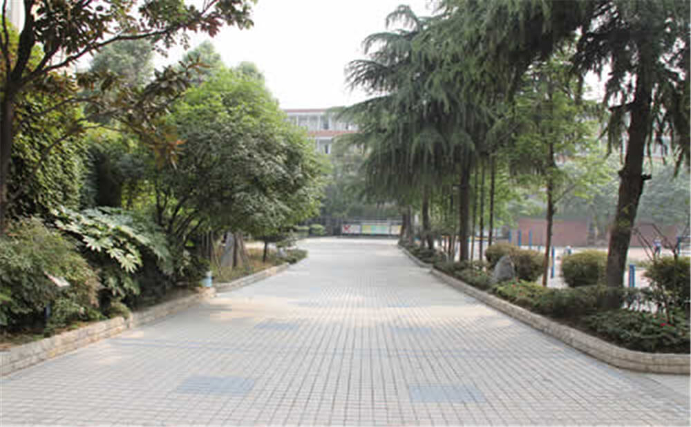 成都列五中學(xué)的學(xué)費(fèi)是多少錢(qián)？