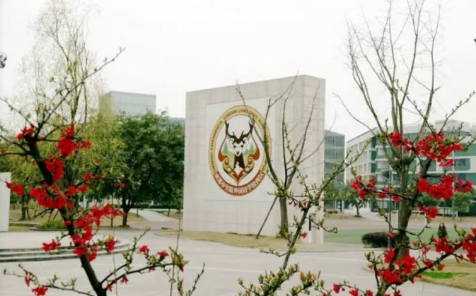 成都實(shí)驗(yàn)外國語學(xué)校（西區(qū)）2020年的招生標(biāo)準(zhǔn)是什么？