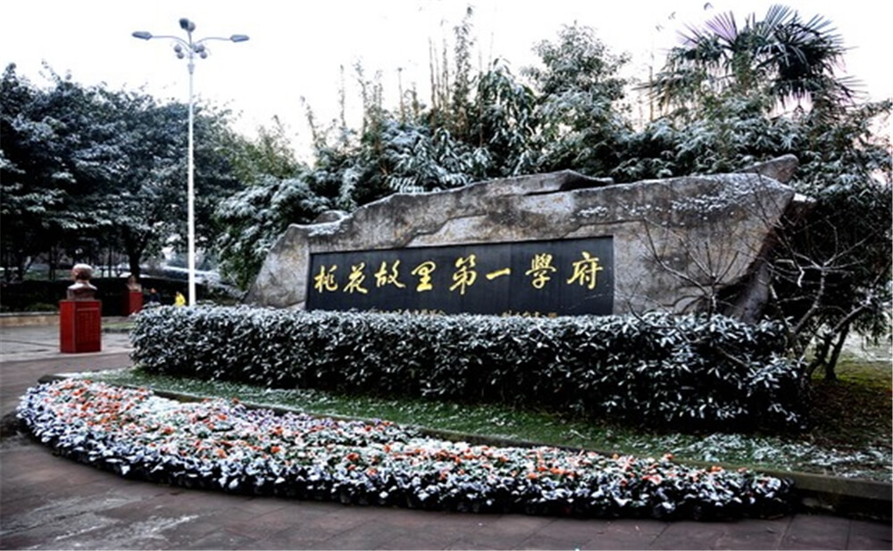 成都市龍泉中學(xué)的升學(xué)率是多少？