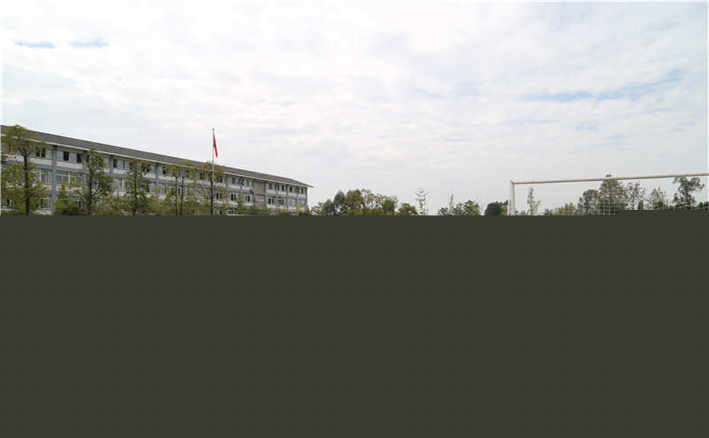 平樂中學(xué)的升學(xué)率是多少？