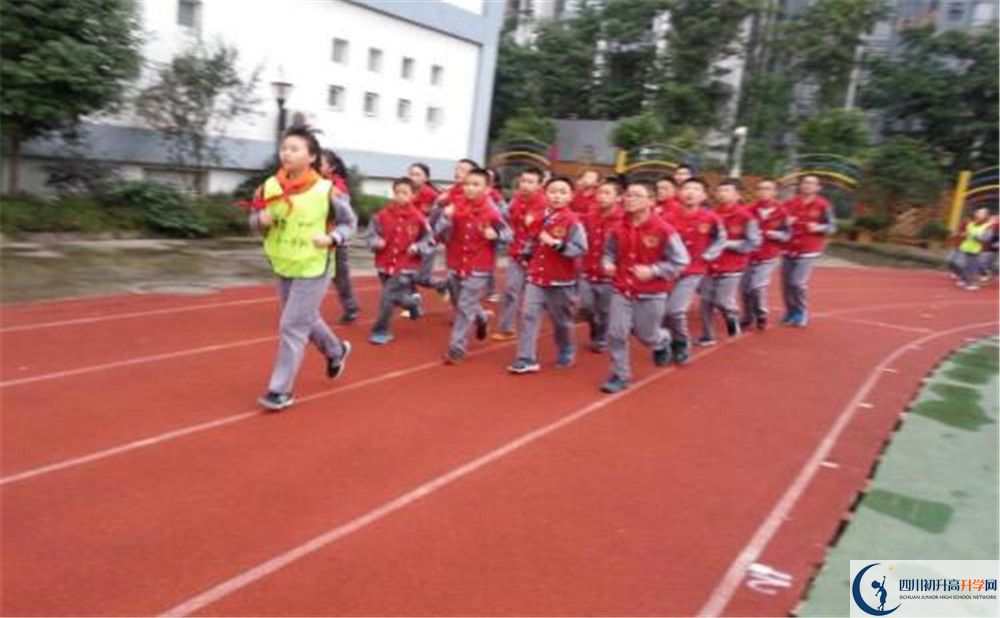 2020成都市泡桐樹中學(xué)的升學(xué)率有多少？