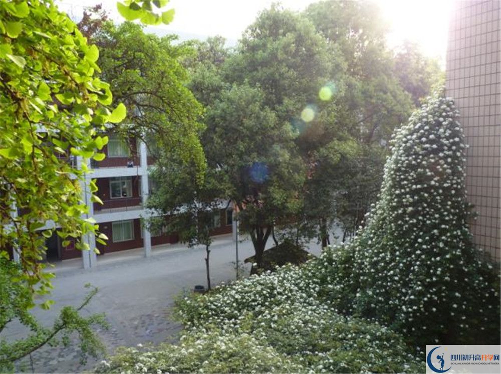 四川師范大學(xué)實驗外國語學(xué)校2020年錄取條件是什么？