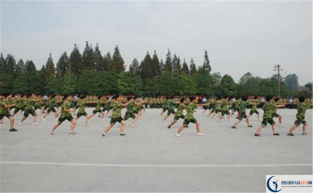 香城中學(xué)高一分班嗎？