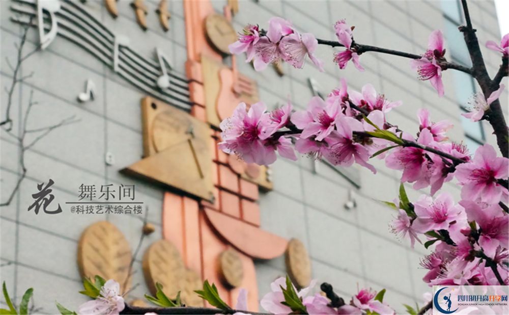 石室天府中學2020年外地招生考試時間是多久？