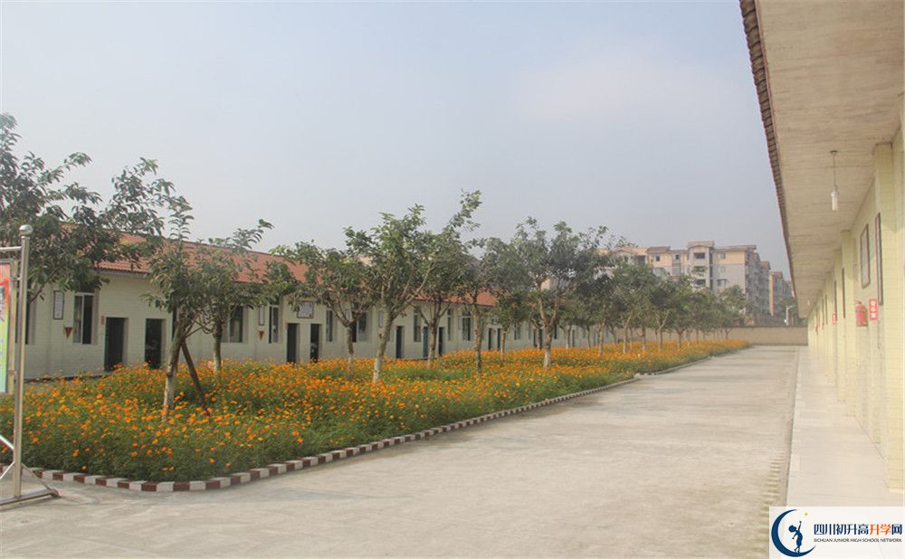 2020年強(qiáng)項(xiàng)實(shí)驗(yàn)中學(xué)自主招生考試報(bào)名時(shí)間是多久？