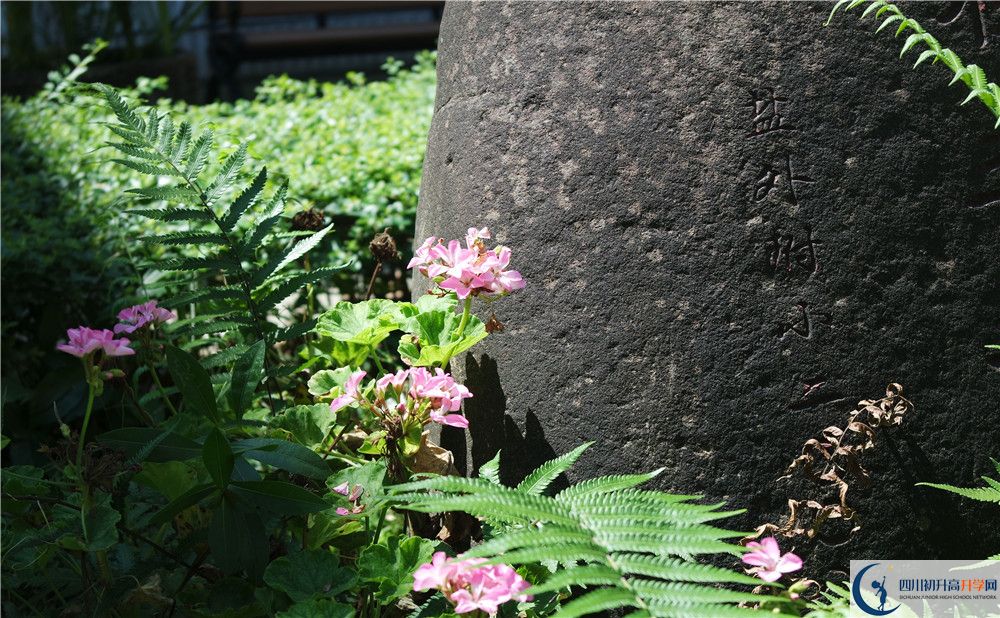 石室聯(lián)合中學蜀華分校住宿費用是多少？