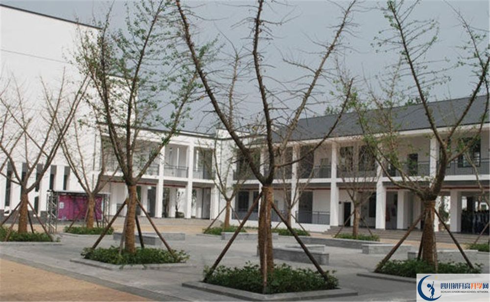 石室白馬中學(xué)2020年錄取條件是什么？
