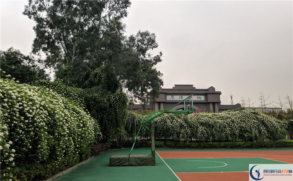 成都大學(xué)附屬中學(xué)2020清華北大錄取學(xué)生是多少？