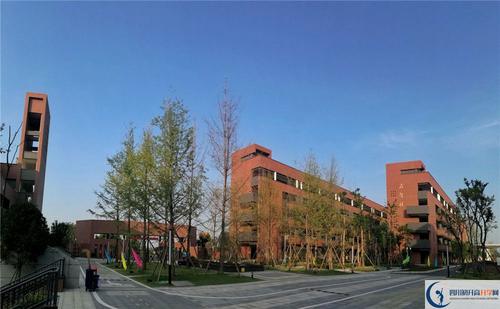 電子科技大學(xué)實驗中學(xué)高一多久放一次假？