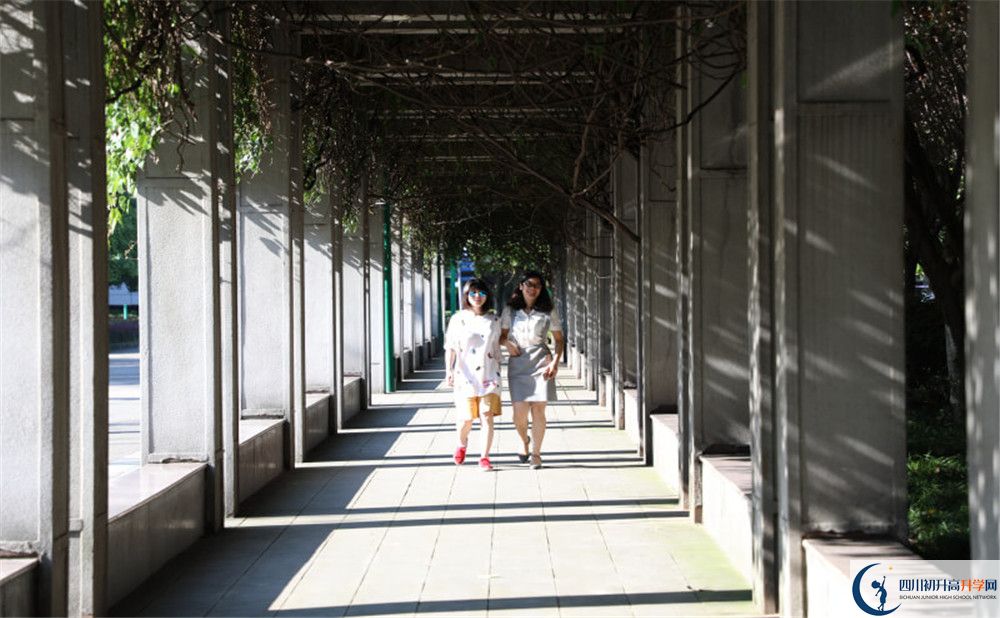 成都市龍泉中學(xué)2020年清華北大人數(shù)是多少？