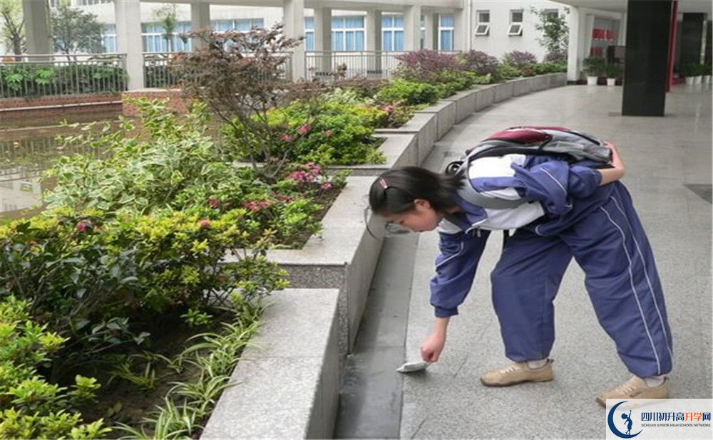 成都市龍泉中學(xué)初升高向外地招生嗎？