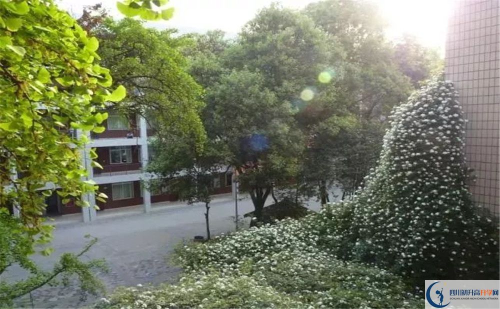 成都市石室聯(lián)中蜀華分校2020年保送清華北大的人數(shù)是多少？