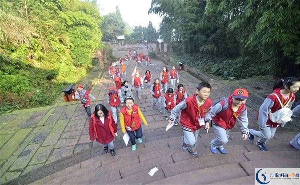 成都市泡桐樹(shù)中學(xué)2020年保送清華北大的人數(shù)是多少？