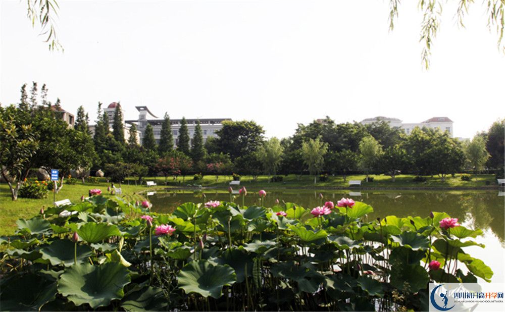 成都教科院附屬學(xué)校2020年保送清華北大的人數(shù)是多少？