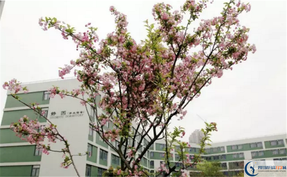 電子科技大學實驗中學2020高一開學時間是多久？