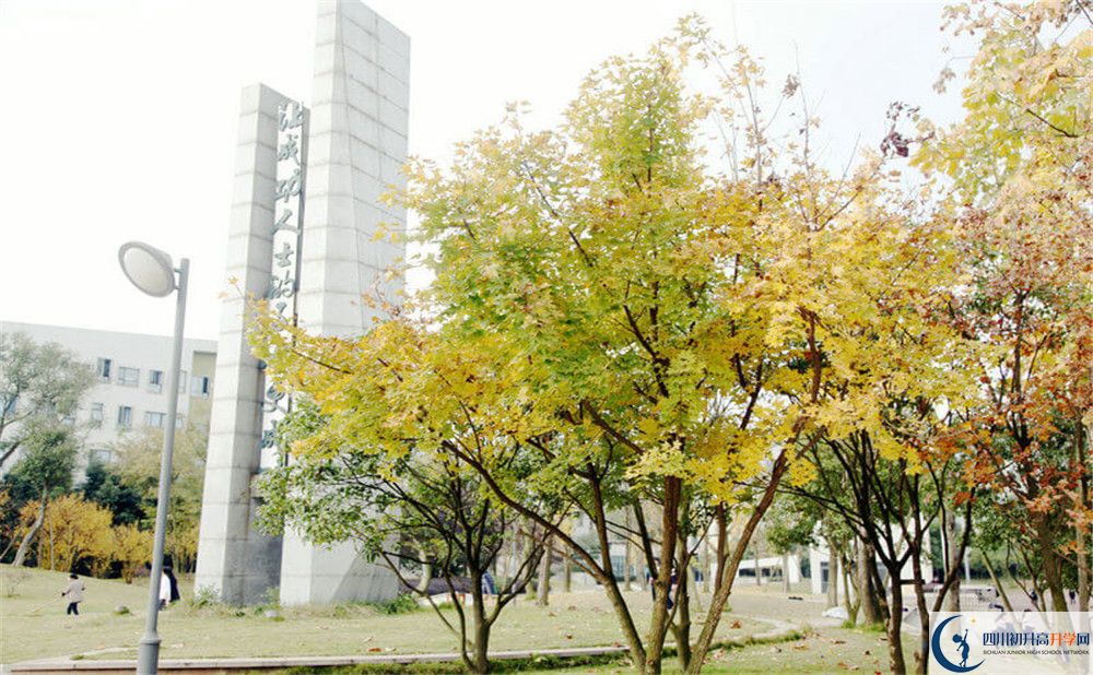 成都實(shí)驗(yàn)外國(guó)語(yǔ)學(xué)校（西區(qū)）2020年外地生學(xué)費(fèi)是多少？
