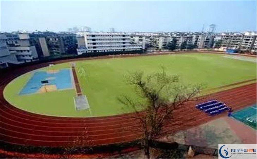 成都實(shí)外新都五龍山學(xué)校招生考試科目有哪些？