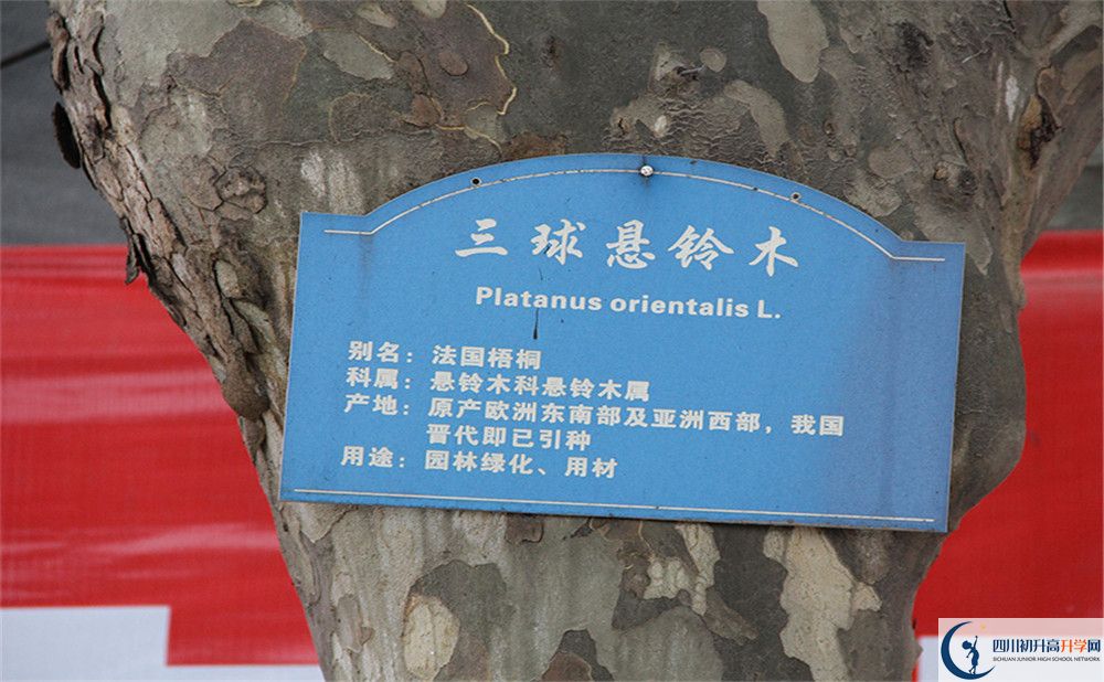 2020成都市第四十九中學(xué)高考重點(diǎn)大學(xué)升學(xué)率高嗎？
